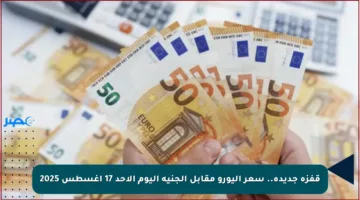 قفزة جديدة.. سعر اليورو مقابل الجنيه اليوم الأحد 17 أغسطس 2025